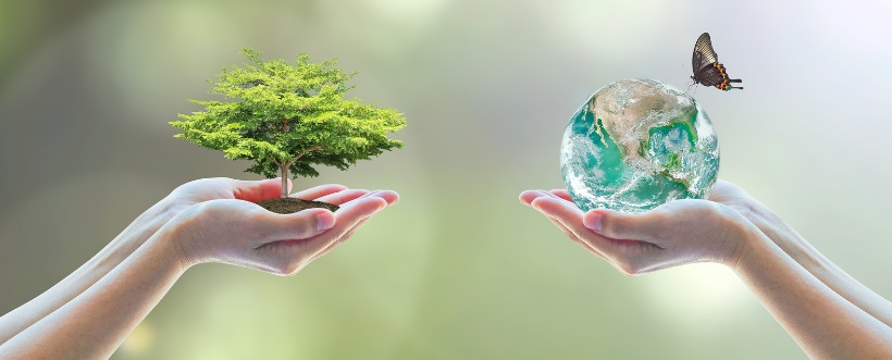 gestion de riesgos ambientes en comercio exterior